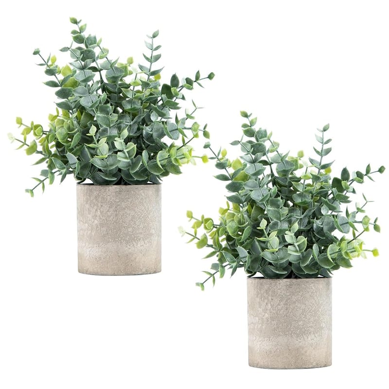 Coferset 2 Pack Artificial Eucalyptus Mini Potted Plants, Fake Sprayed Eucalyptus Plant in Pots for Home Office Desk Decor