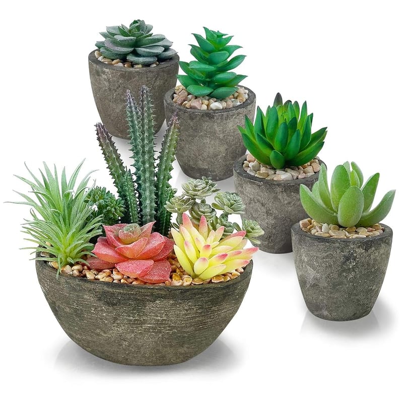 Artificial Succulent Plants Set of 5, Realistic Faux Succulents in Cement-Style Pots for Home Office Desk Decoration