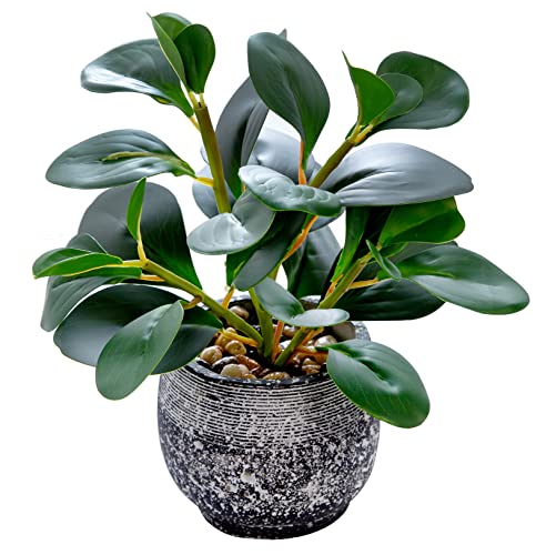 Artificial Plants Potted Real Looking Small Faux Plant with Rustic Black Cement Planter for Kitchen Office Desk Bookshelf Decor (Ficus Plant)