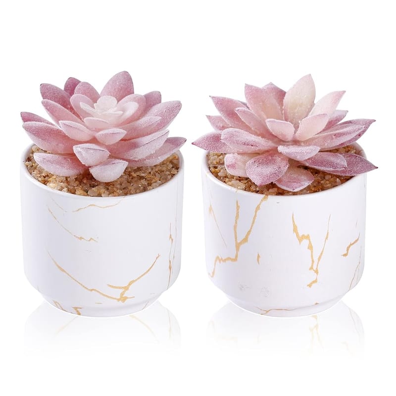 ZENIDA Artificial Plants and Succulents in 2 White Ceramic Pots, Small Fake Plants for Office and Desk Decor, Bathroom, Bedroom, Shelves