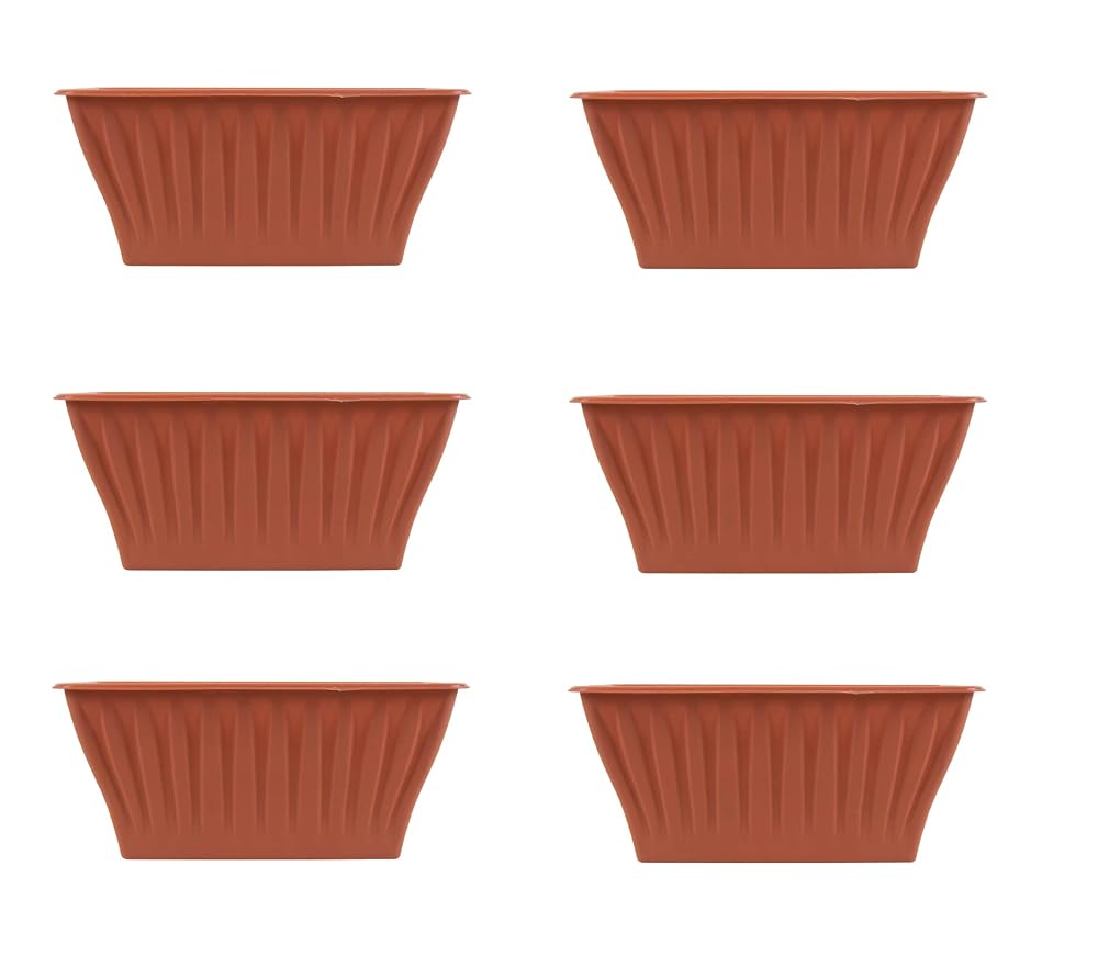 Invero Set of 6 Rectangular Terracotta Planters, 32cm, Growing Box for Vegetables & Herbs