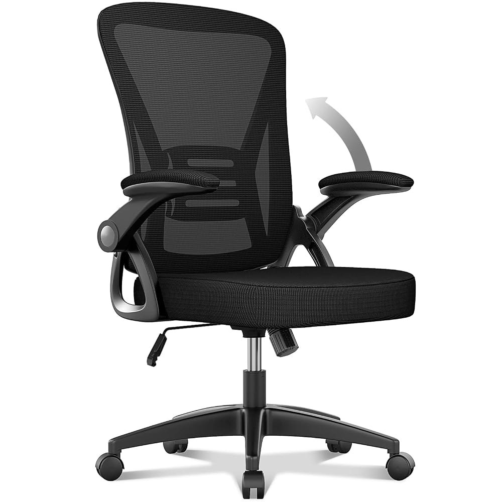 naspaluro Ergonomic Office Desk Chair with 90° Flip-Up Armrests and Lumbar Support