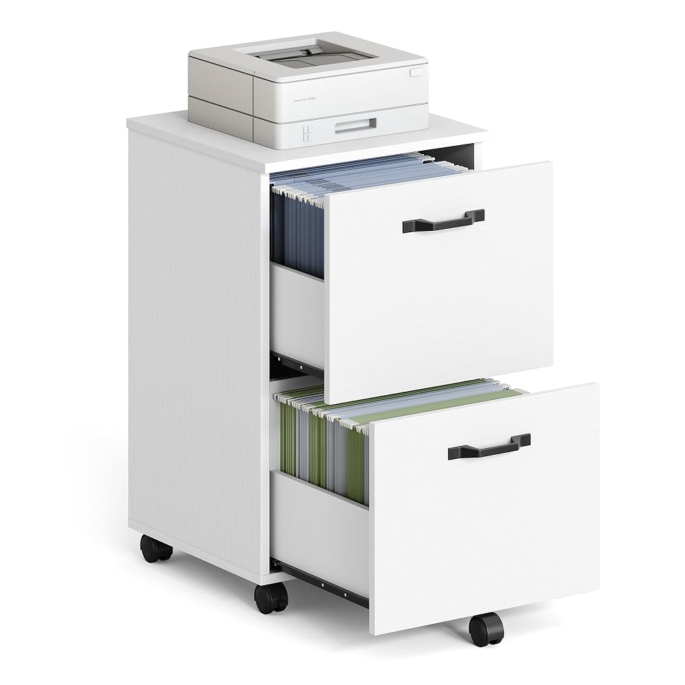 VASAGLE 2-Drawer Filing Cabinet, Mobile File Cabinet for Home Office, Printer Stand, White