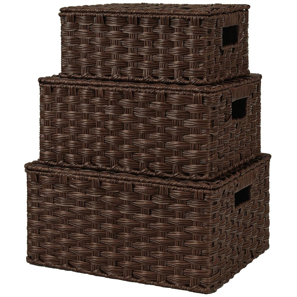 GRANNY SAYS Wicker Baskets with Lids, Set of 3 Decorative Storage Boxes