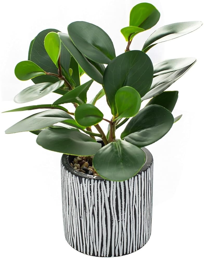 AlphaAcc Small Plants for Shelf Decor, Real Looking Greenery Artificial Plants Indoor Potted with Rustic Black Clay Planter