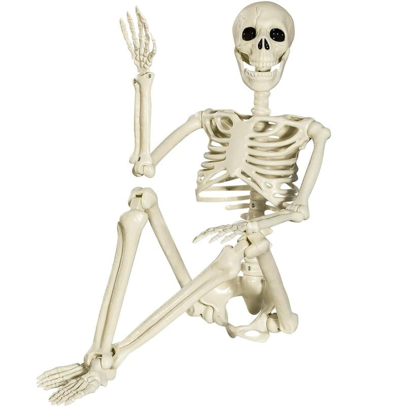 SIFOEL Halloween Posable Skeleton 90cm, Full Body Skeleton with Movable Joints for Halloween Party Decoration Indoor Outdoor