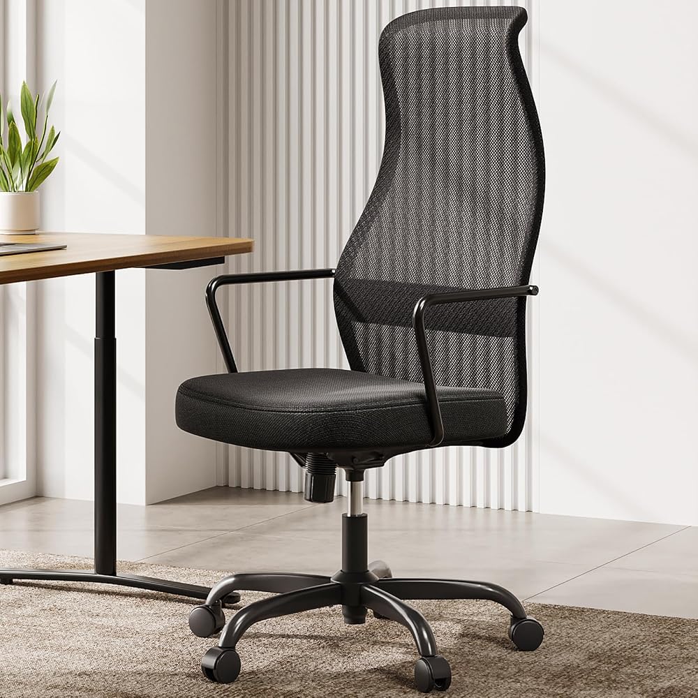 SIHOO M101C Ergonomic Office Chair, Dual S Streamlined Backrest Design Desk Chair, Big and Tall, High-Resilience Seat Cushion, Black