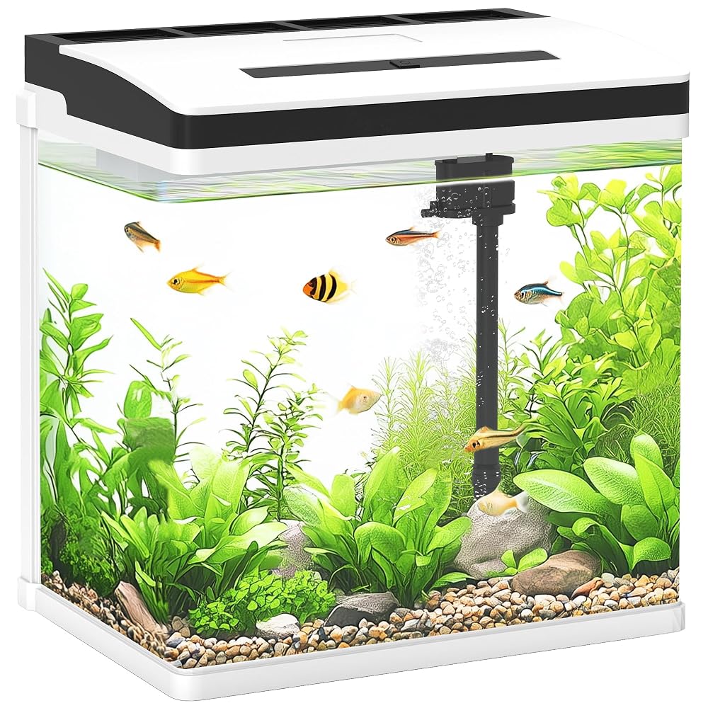 PawHut Fish Tank 13L Glass Aquarium with Filter for Goldfish 29 x 20 x 31cm | LED Lighting, Water Pump for Bettas, Guppies, Mini Parrot Fishes, Shrimp