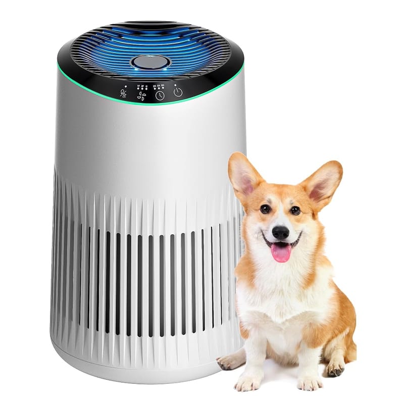 MORENTO Air Purifier for Bedroom Office, Smoke Pet Dander Odor, Fragrance Sponge, Quiet Overnight Operation