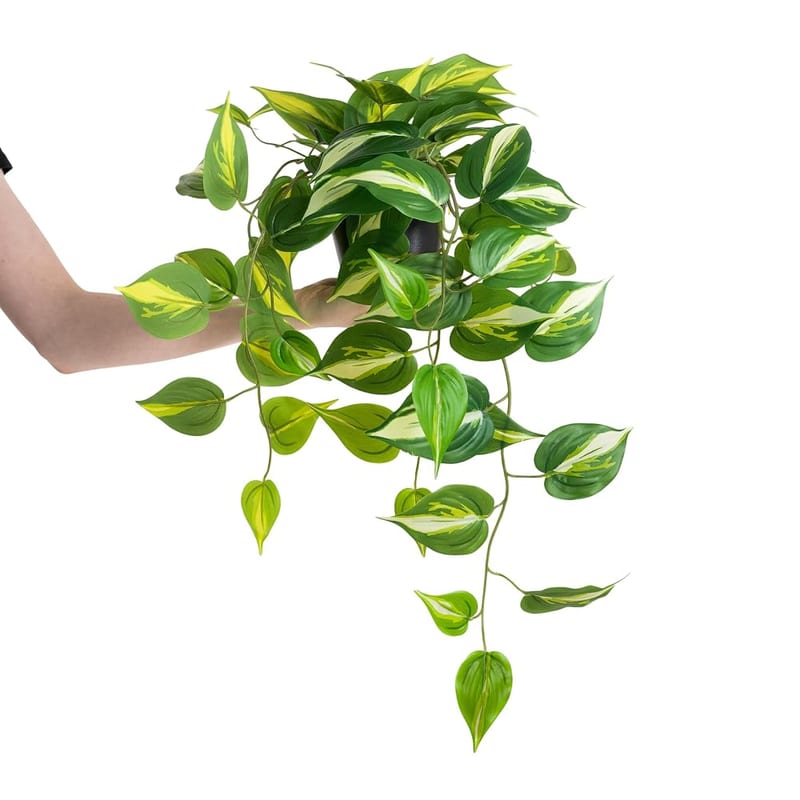Blooming Artificial Devil’s Ivy Pothos Plant, 70cm Indoor Trailing Plant, Variegated Green Leaves in Black Pot