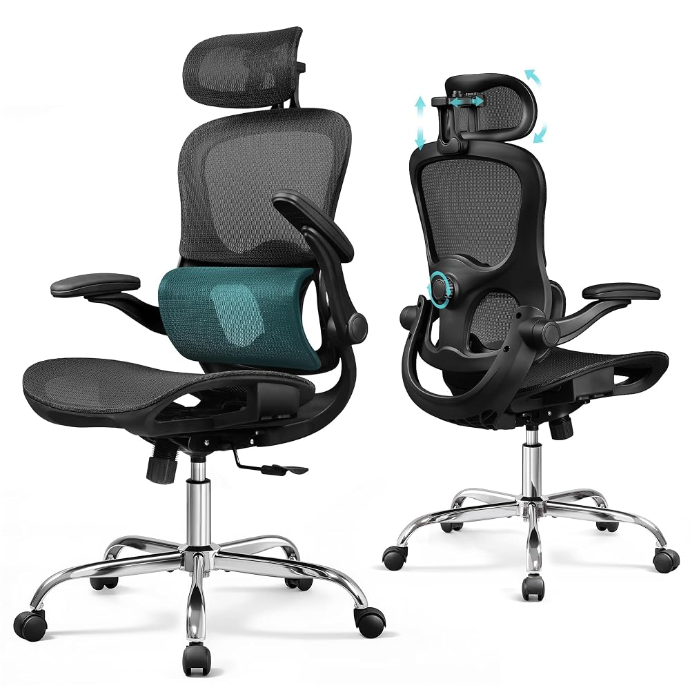 DEVAISE Ergonomic Office Chair with Breathable Mesh, Dynamic Lumbar Support