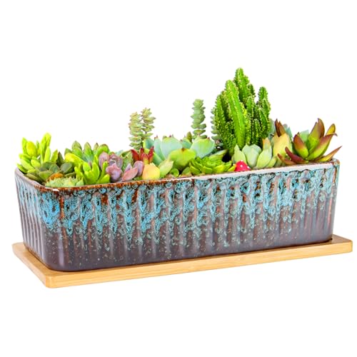 ARTKETTY Succulent Plant Pot - 30.5 CM Large Window Sill Planter with Drainage Tray, Long Rectangle Ceramic Pots for Indoor Cactus Plants Shallow Bonsai Window Box for Home
