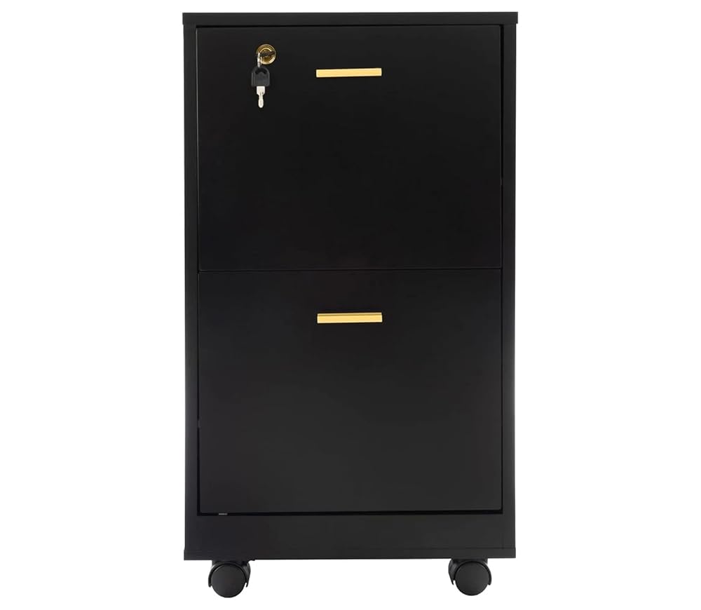 PREMZO 2 Drawer Storage Cabinet, Smart Lockable Filing Office Cabinet, Mobile Rolling Wheels, Black