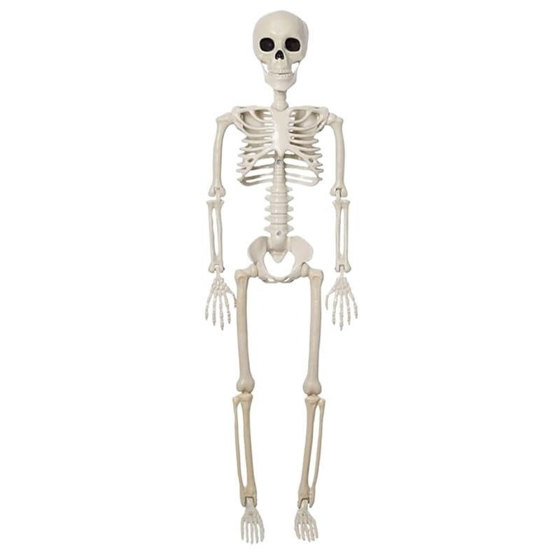 Halloween Skeleton Life-Size Halloween Skeleton Decoration with Movable Joints Skull Figure Decoration for Scary House Party Mantle Table Front Garden